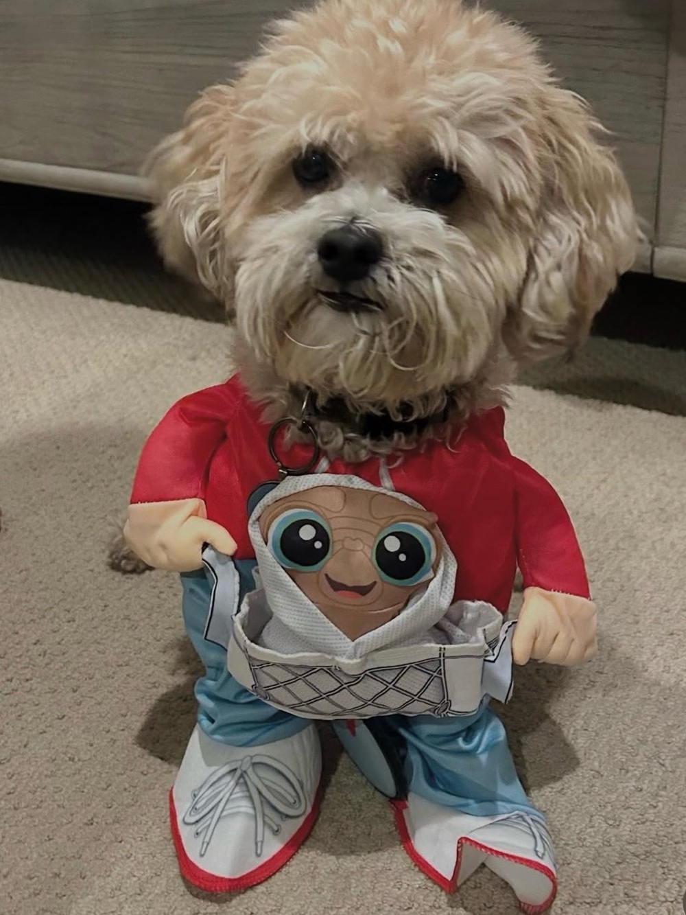 Dog ET/Elliot costume
